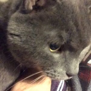 Meet your Posher, Robert